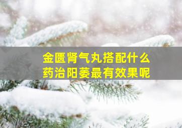 金匮肾气丸搭配什么药治阳萎最有效果呢