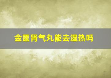 金匮肾气丸能去湿热吗