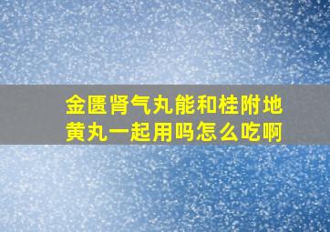 金匮肾气丸能和桂附地黄丸一起用吗怎么吃啊