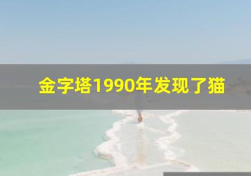 金字塔1990年发现了猫