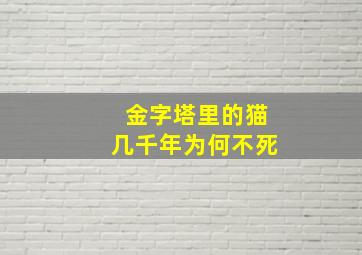 金字塔里的猫几千年为何不死