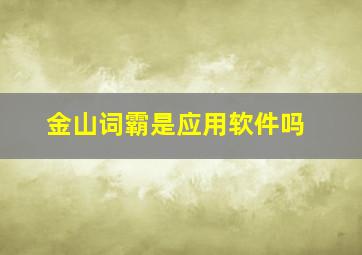 金山词霸是应用软件吗