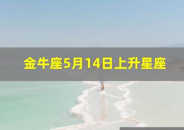 金牛座5月14日上升星座