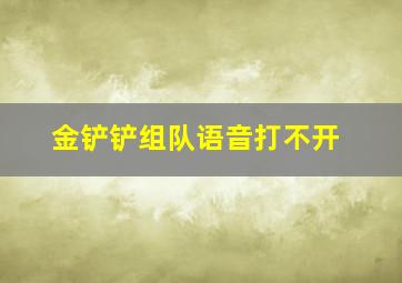 金铲铲组队语音打不开