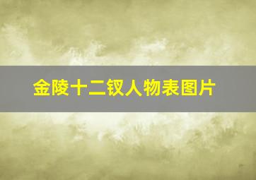 金陵十二钗人物表图片