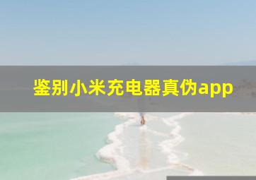 鉴别小米充电器真伪app