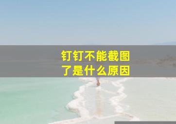 钉钉不能截图了是什么原因