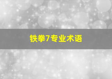 铁拳7专业术语