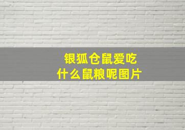 银狐仓鼠爱吃什么鼠粮呢图片