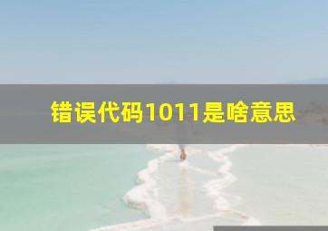 错误代码1011是啥意思