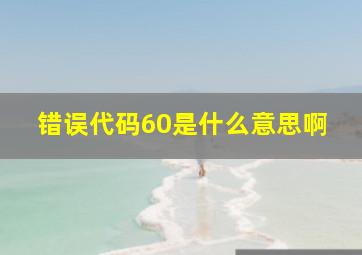 错误代码60是什么意思啊