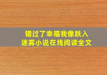 错过了幸福我像跌入迷雾小说在线阅读全文