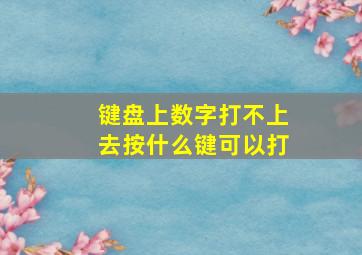 键盘上数字打不上去按什么键可以打