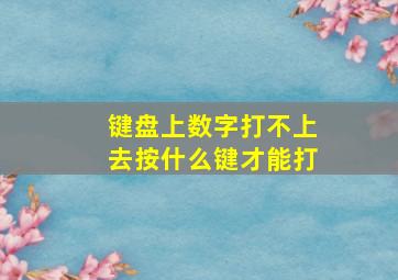 键盘上数字打不上去按什么键才能打