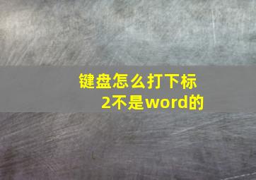 键盘怎么打下标2不是word的