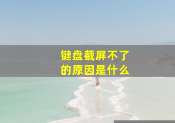 键盘截屏不了的原因是什么