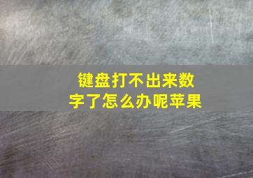 键盘打不出来数字了怎么办呢苹果