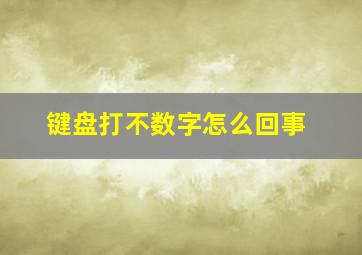 键盘打不数字怎么回事