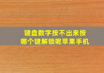 键盘数字按不出来按哪个键解锁呢苹果手机