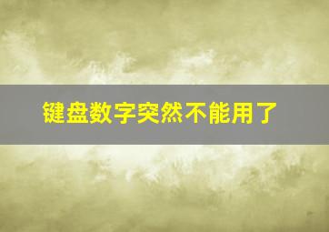 键盘数字突然不能用了