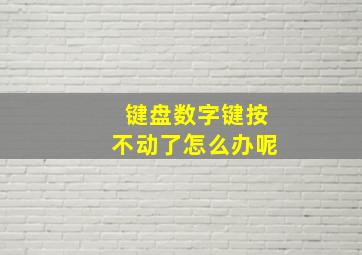 键盘数字键按不动了怎么办呢