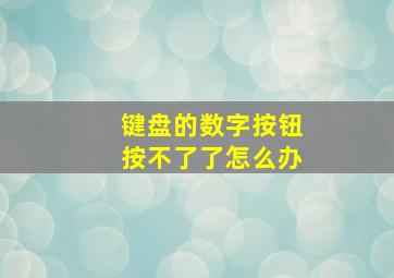 键盘的数字按钮按不了了怎么办