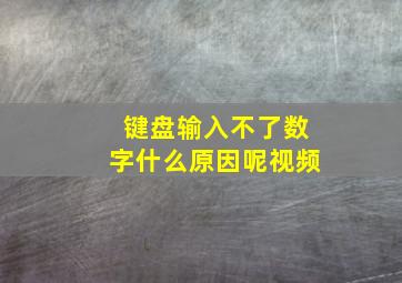 键盘输入不了数字什么原因呢视频