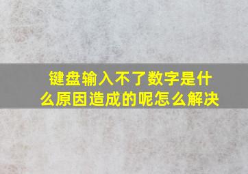 键盘输入不了数字是什么原因造成的呢怎么解决