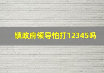 镇政府领导怕打12345吗