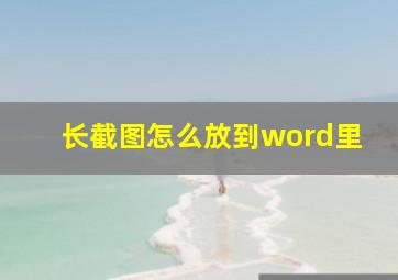 长截图怎么放到word里