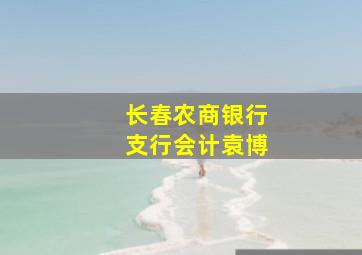 长春农商银行支行会计袁博