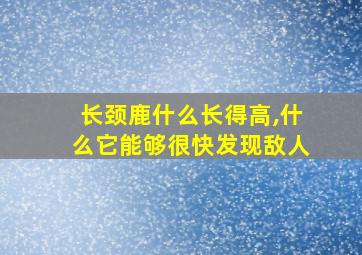 长颈鹿什么长得高,什么它能够很快发现敌人