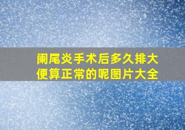 阑尾炎手术后多久排大便算正常的呢图片大全