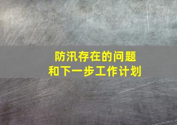 防汛存在的问题和下一步工作计划