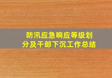 防汛应急响应等级划分及干部下沉工作总结