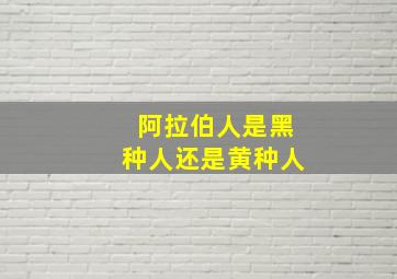 阿拉伯人是黑种人还是黄种人