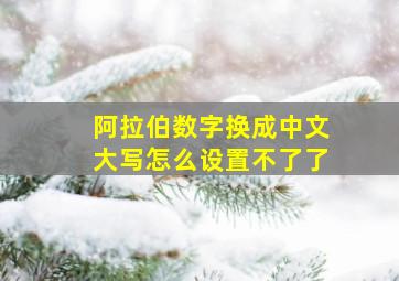 阿拉伯数字换成中文大写怎么设置不了了