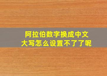 阿拉伯数字换成中文大写怎么设置不了了呢