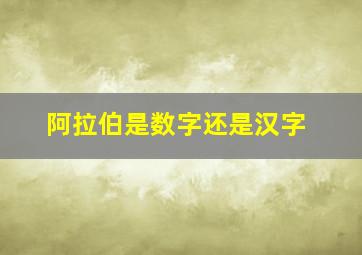 阿拉伯是数字还是汉字