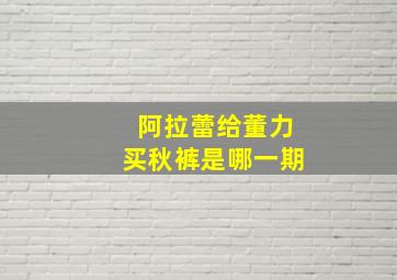 阿拉蕾给董力买秋裤是哪一期