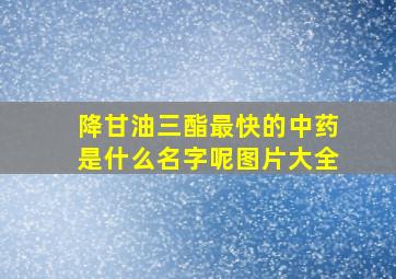 降甘油三酯最快的中药是什么名字呢图片大全