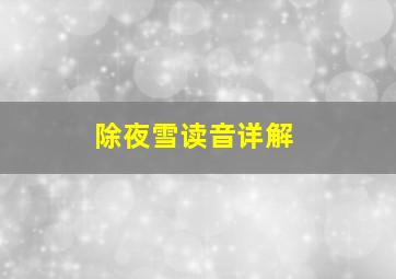 除夜雪读音详解