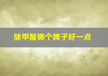 除甲醛哪个牌子好一点