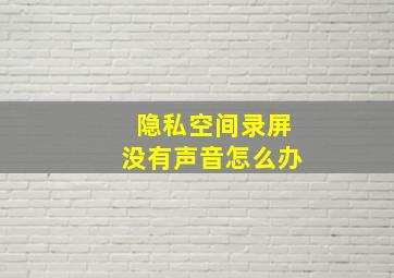 隐私空间录屏没有声音怎么办