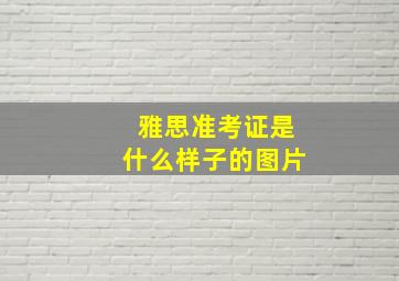 雅思准考证是什么样子的图片