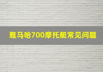 雅马哈700摩托艇常见问题