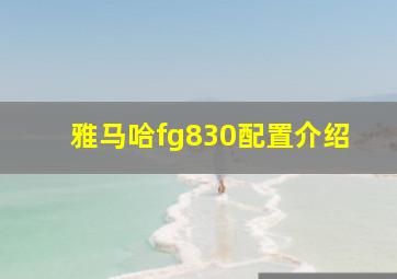 雅马哈fg830配置介绍