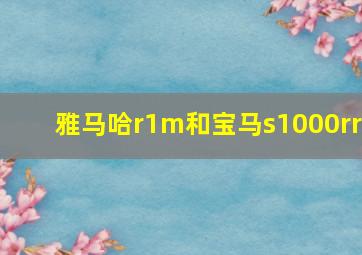 雅马哈r1m和宝马s1000rr