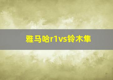 雅马哈r1vs铃木隼