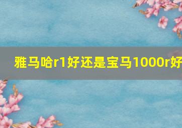 雅马哈r1好还是宝马1000r好